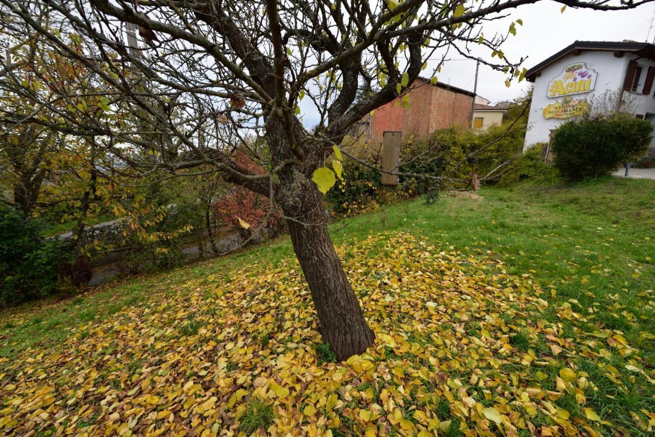 Pietra dei Giorgi Gli Acini B&B 외부 사진