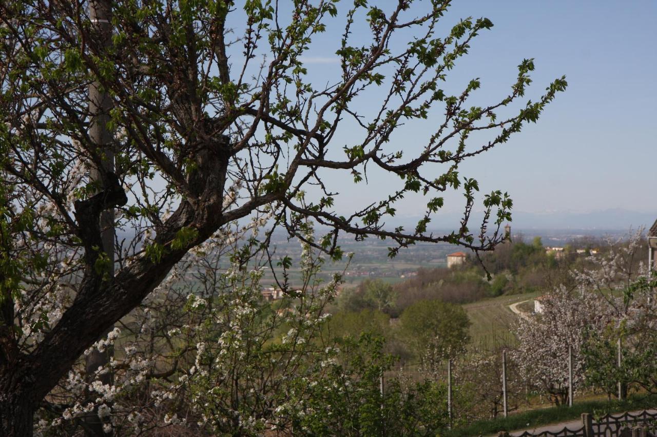 Pietra dei Giorgi Gli Acini B&B 외부 사진