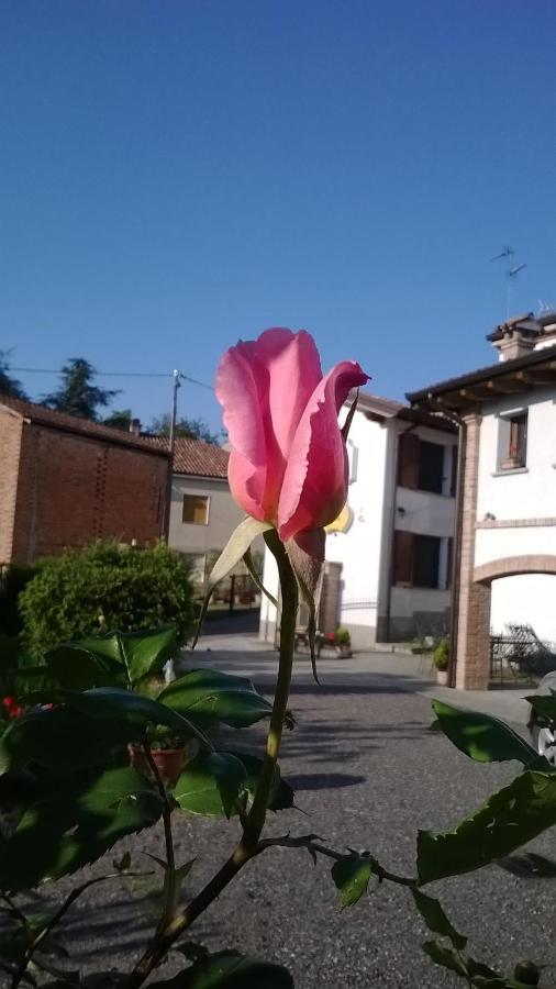 Pietra dei Giorgi Gli Acini B&B 외부 사진
